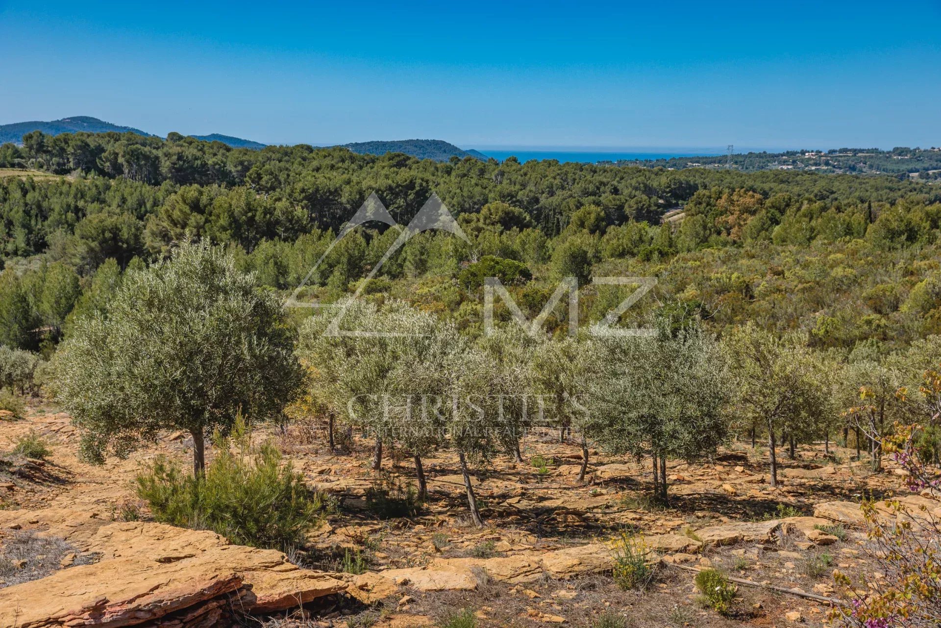 DOMAINE OLÉO-VITICOLE DE STANDING - AOP BANDOL