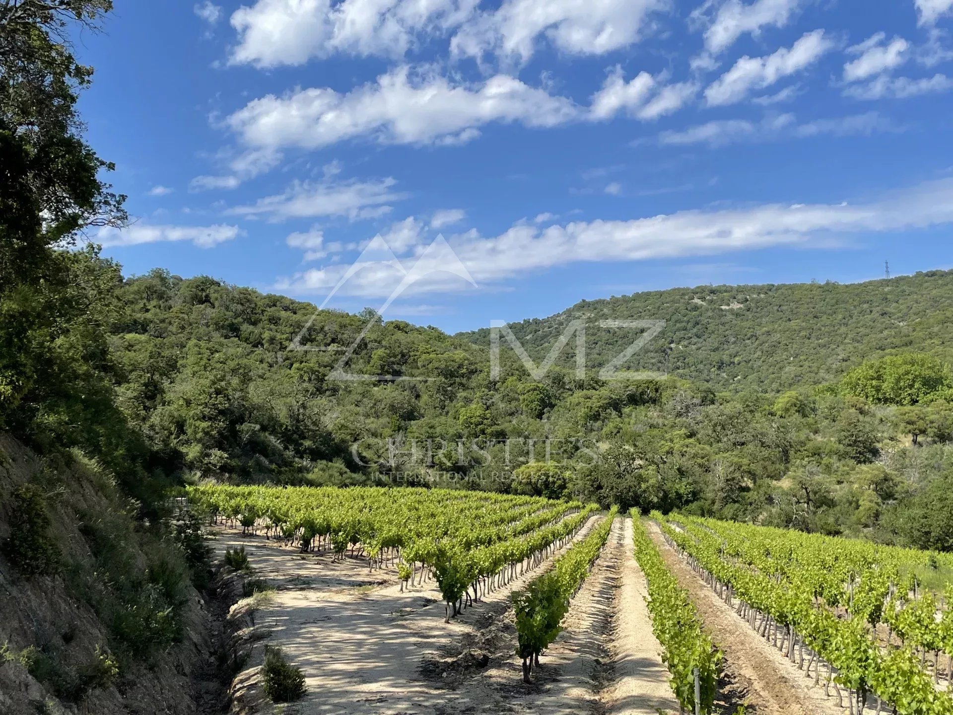 OPPORTUNITÉ À SAISIR ! - PROPRIÉTÉ VITICOLE GOLFE DE SAINT-TROPEZ