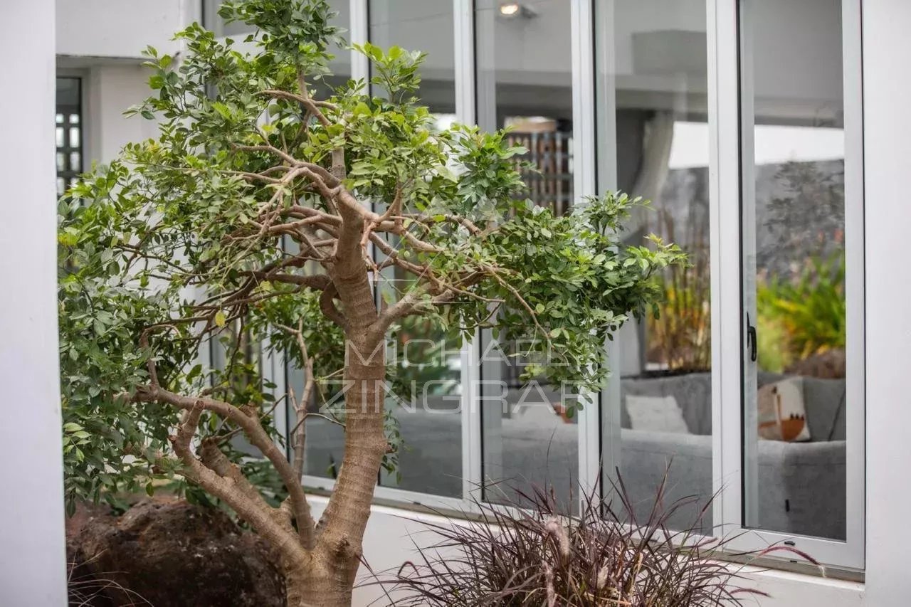 AUSSERGEWÖHNLICHE VILLA IM HERZEN DER ÜPPIGEN NATUR VON PETIT RAFFRAY