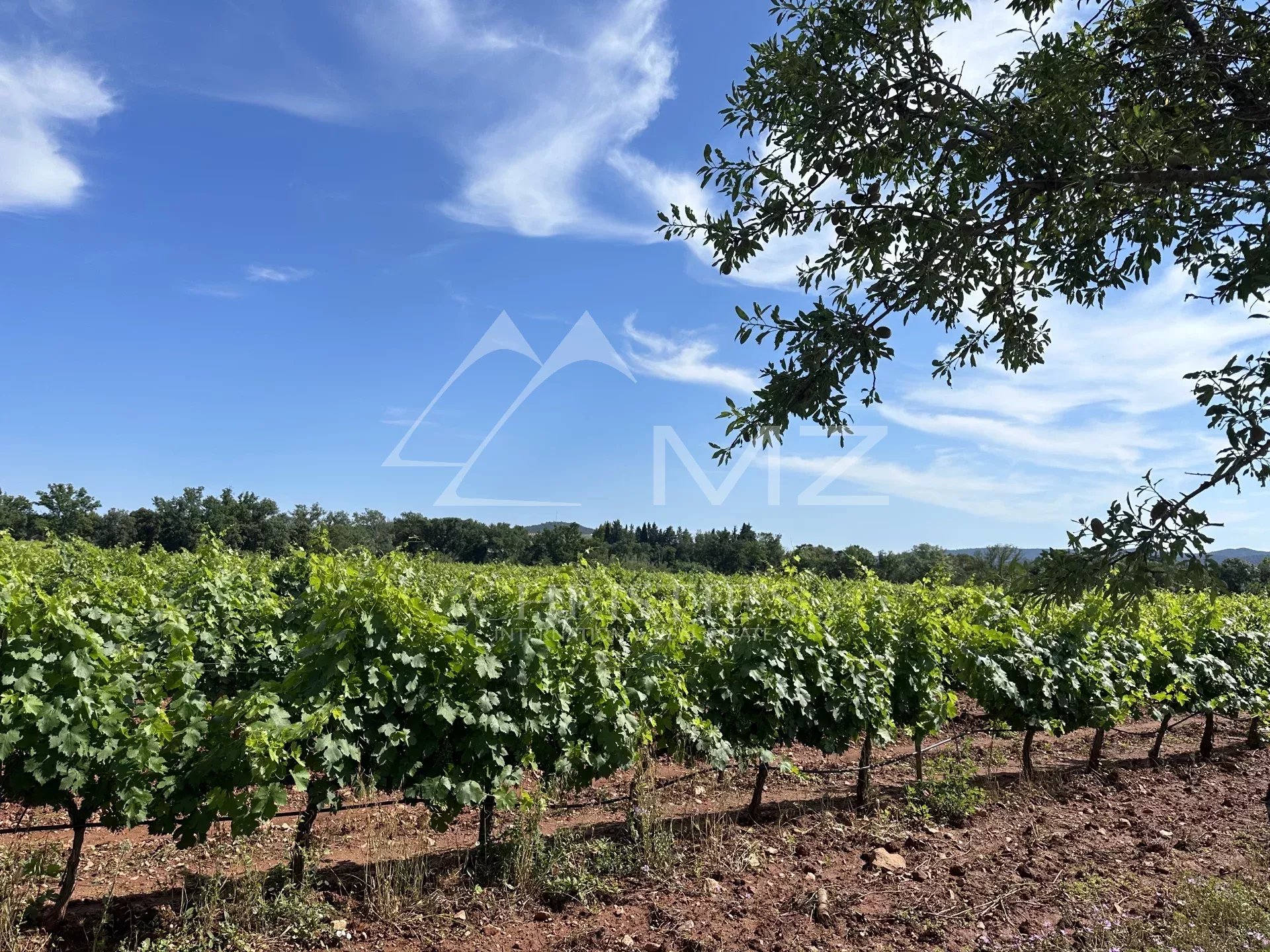 UN OUTIL DE PRODUCTION AU COEUR DU TRIANGLE D'OR DES CÔTES DE PROVENCE