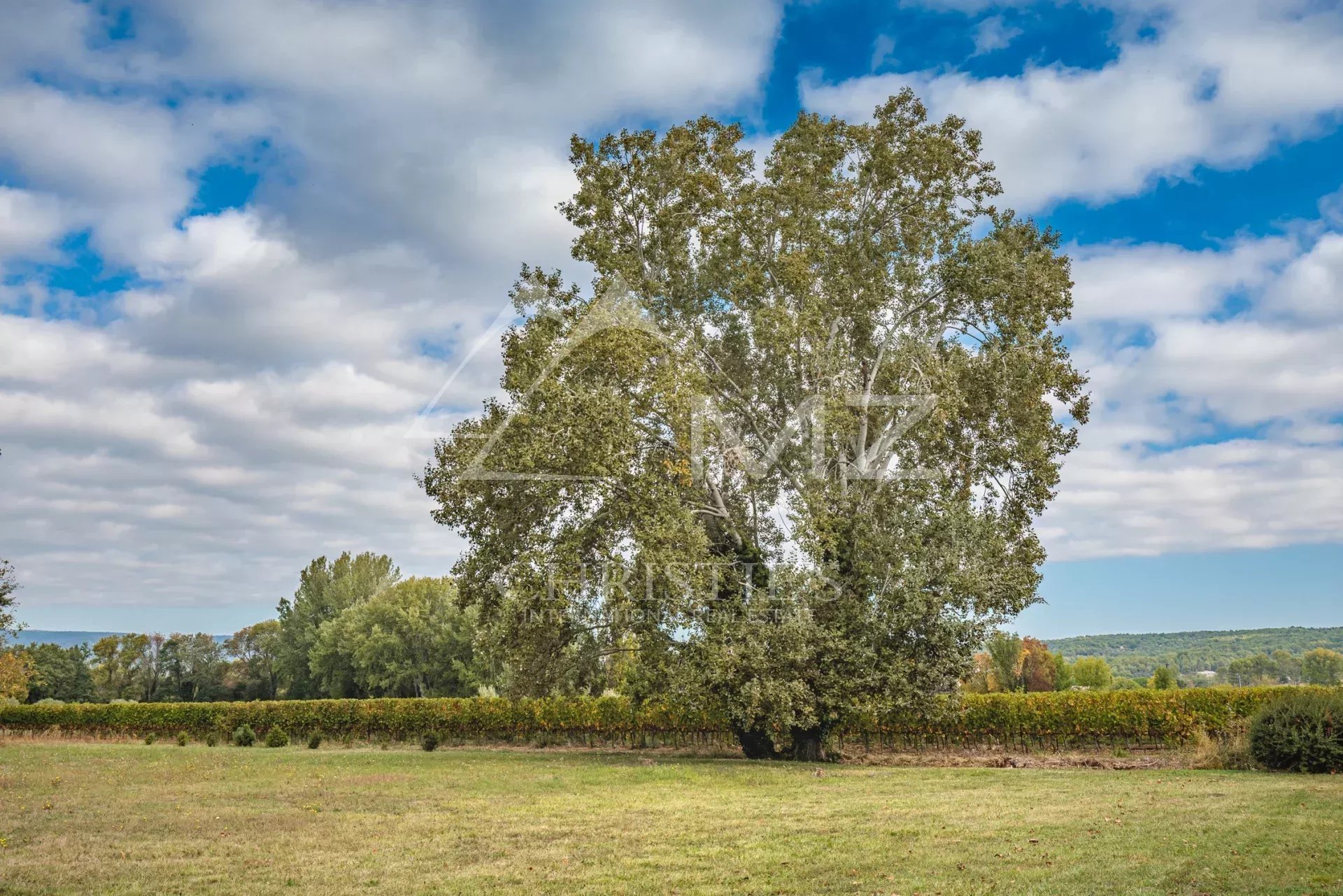 Authentisches Mas aus dem 18. Jahrhundert in Ménerbes – Luberon in der Provence