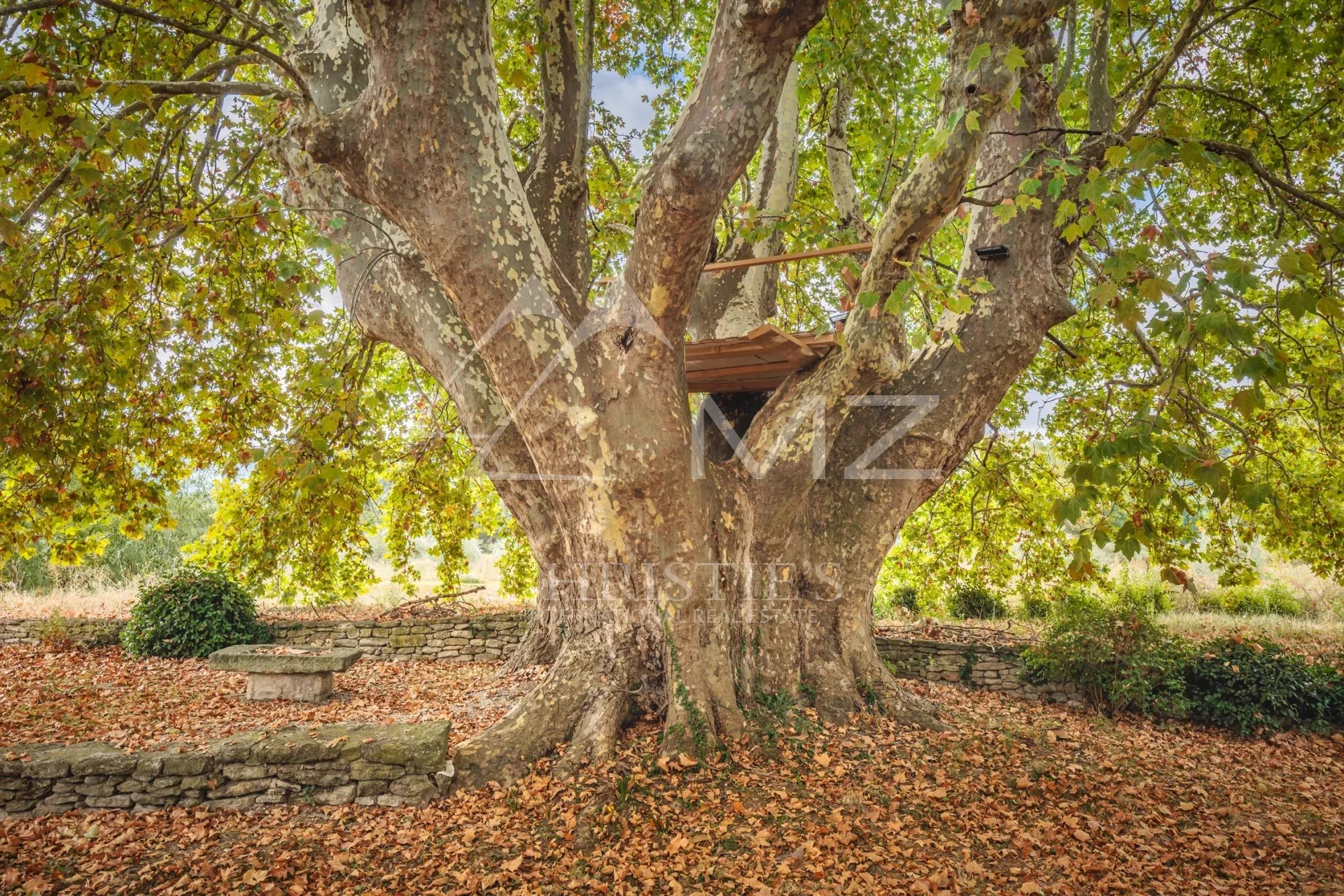 Authentisches Mas aus dem 18. Jahrhundert in Ménerbes – Luberon in der Provence