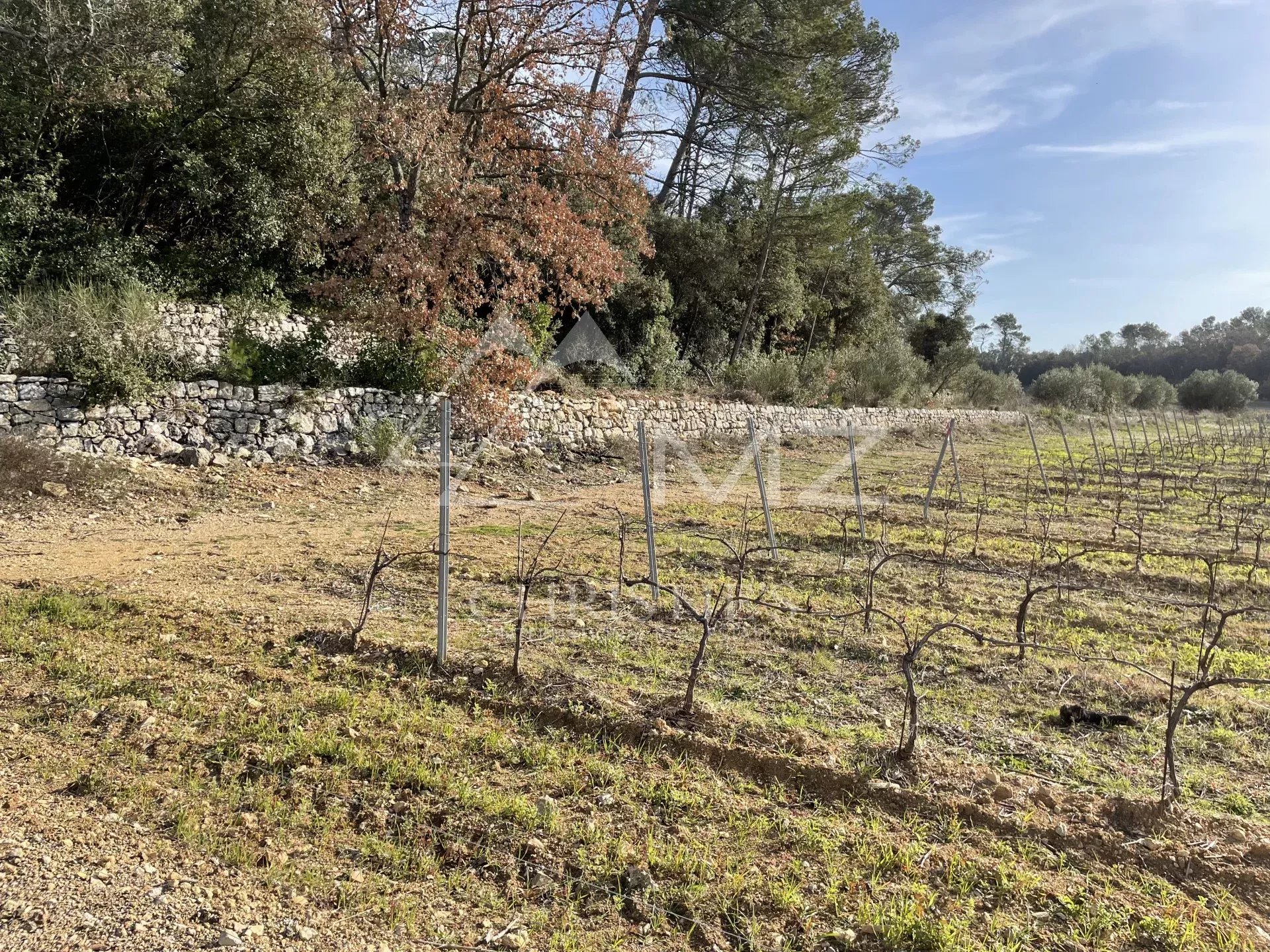 BASTIDE DE CHARME AU COEUR DU TERROIR DES CÔTES DE PROVENCE