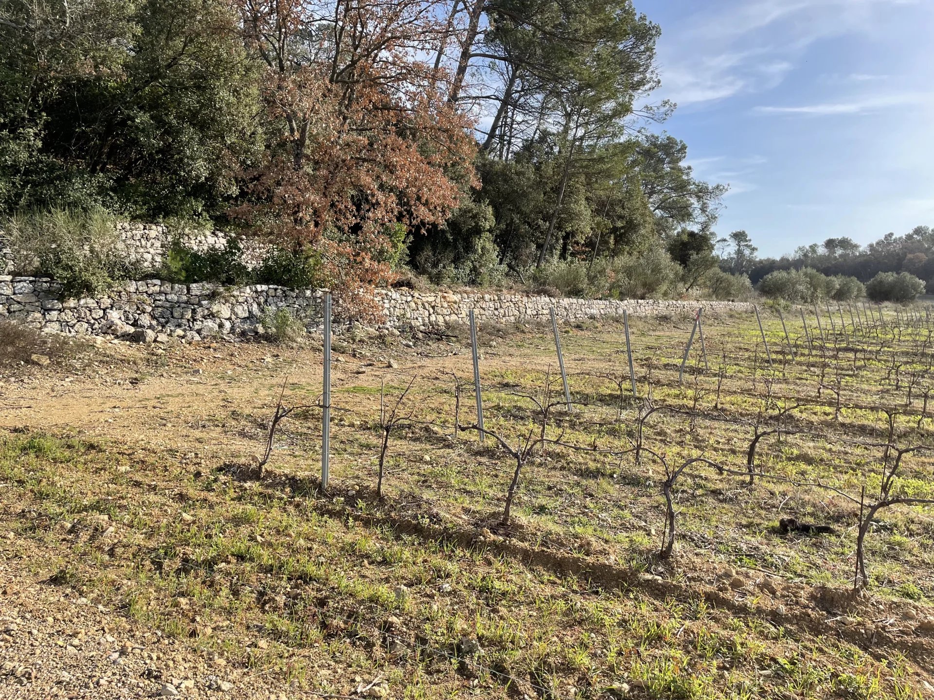 BASTIDE DE CHARME AU COEUR DU TERROIR DES CÔTES DE PROVENCE