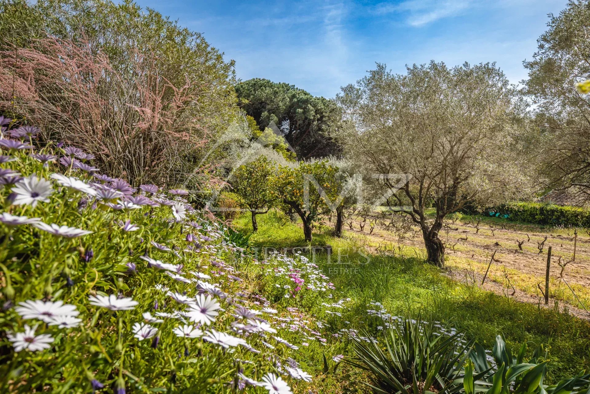 Beautiful property in St-Tropez