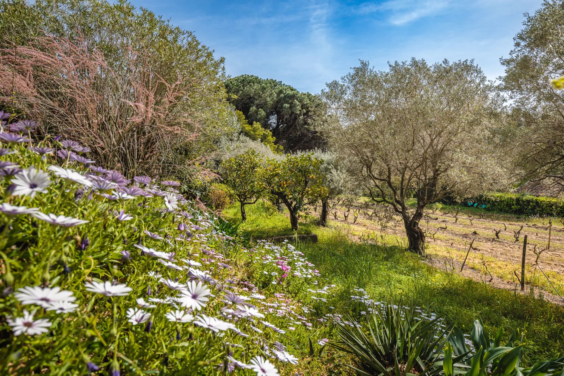 Belle propriété à St-Tropez