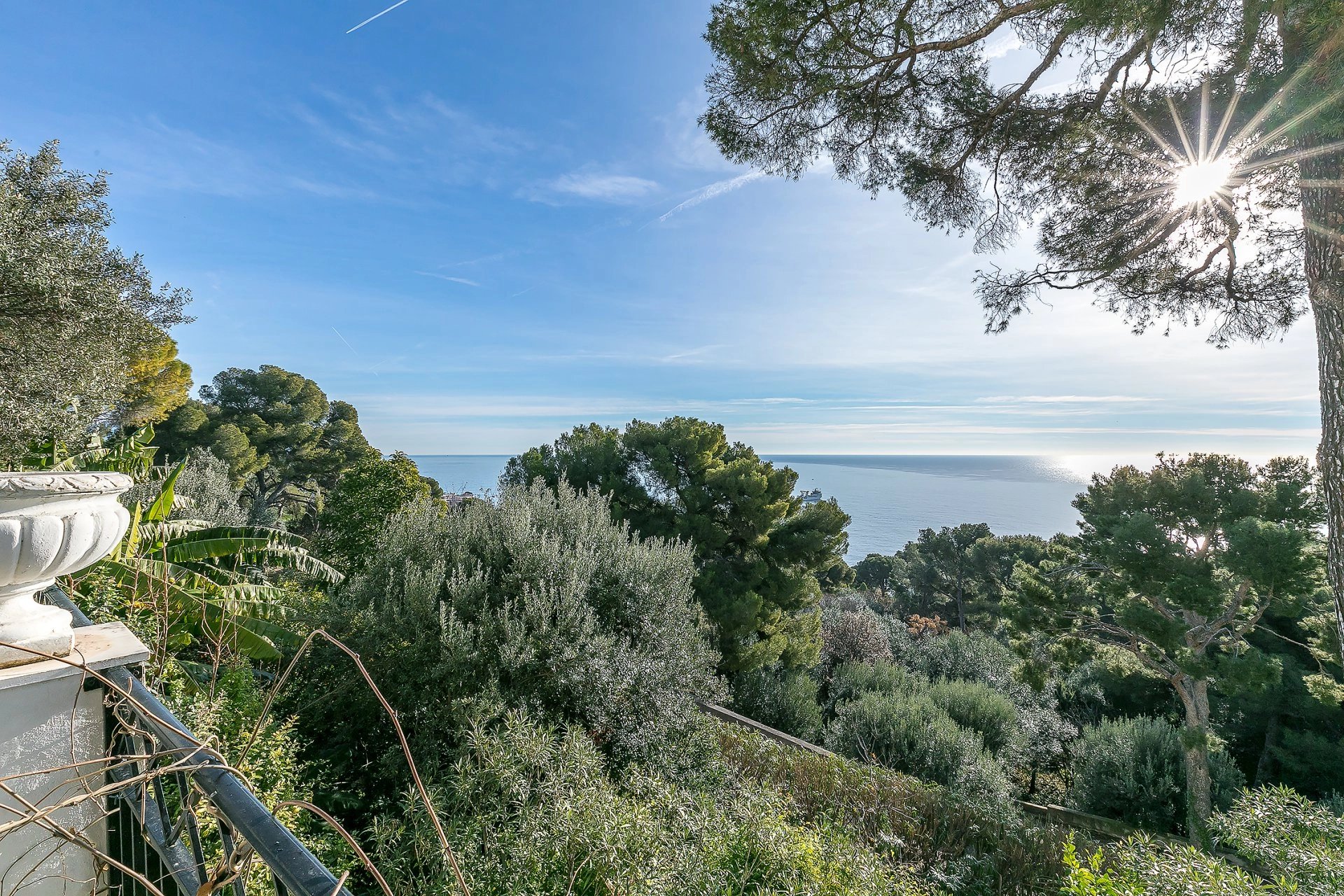 Cap d'Ail - Appartement avec jardin et splendide vue mer