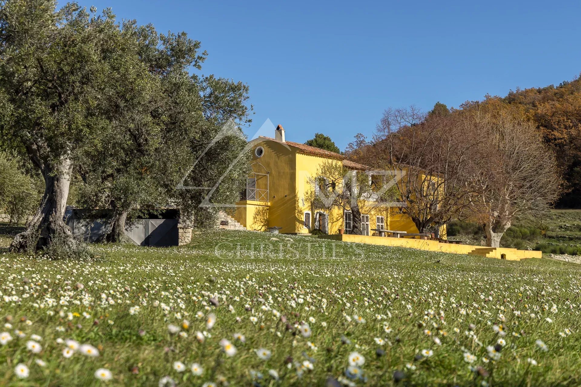 Character property nestled in a green setting