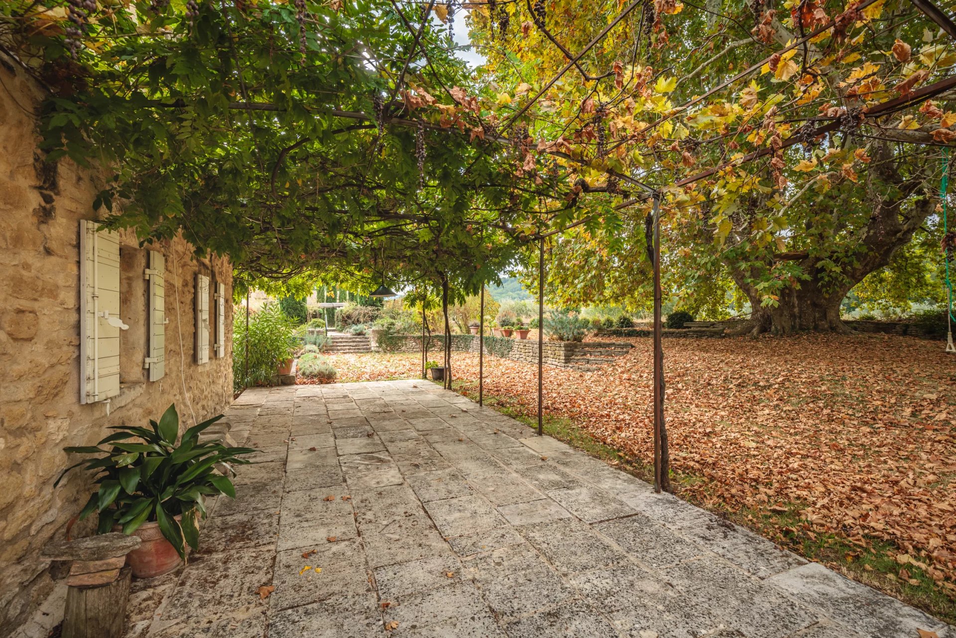 Mas XVIIIème rénové - Ménerbes - Luberon en Provence