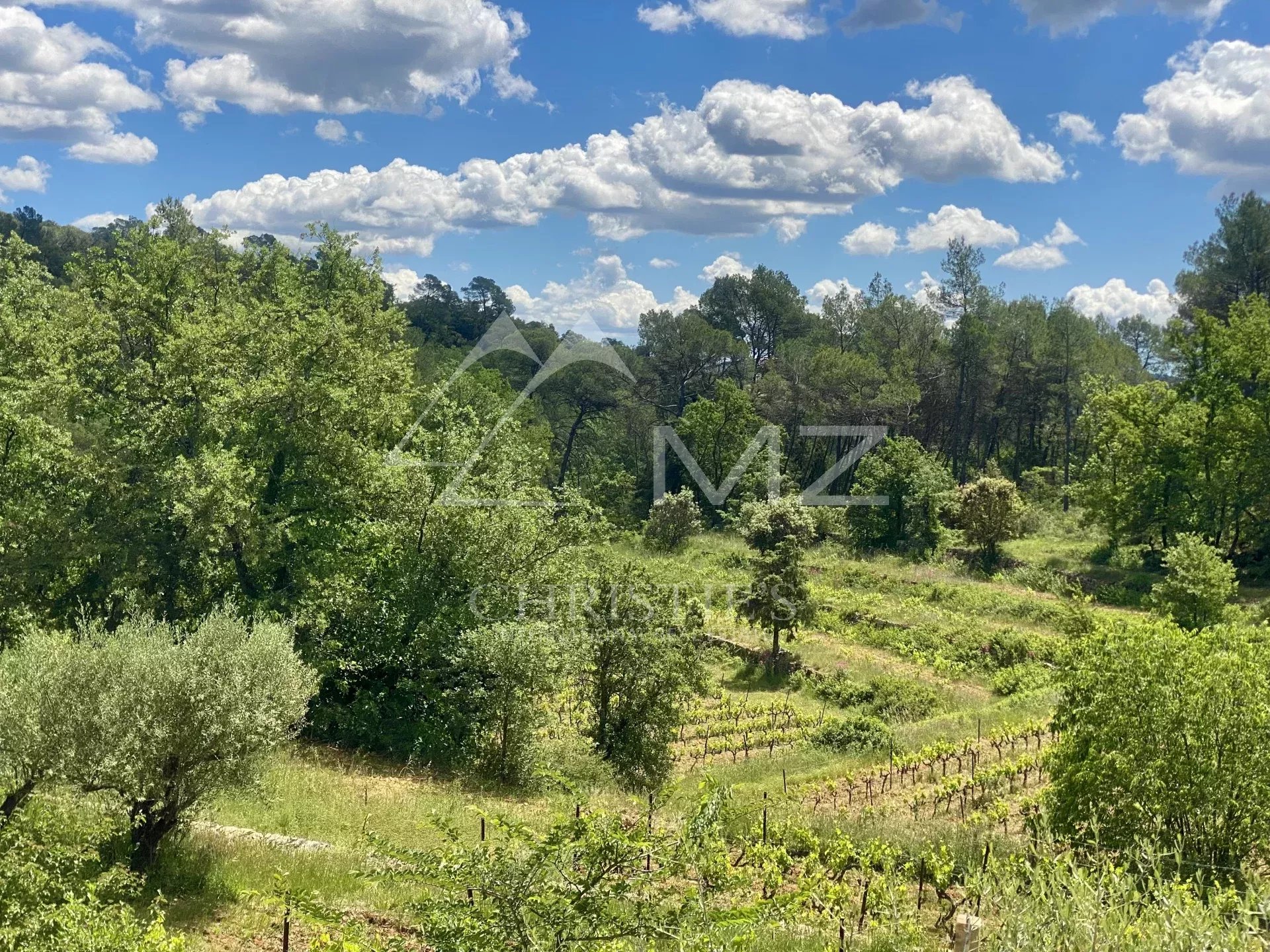 CHARMING LITTLE CONFIDENTIAL ORGANIC VINEYARD ESTATE