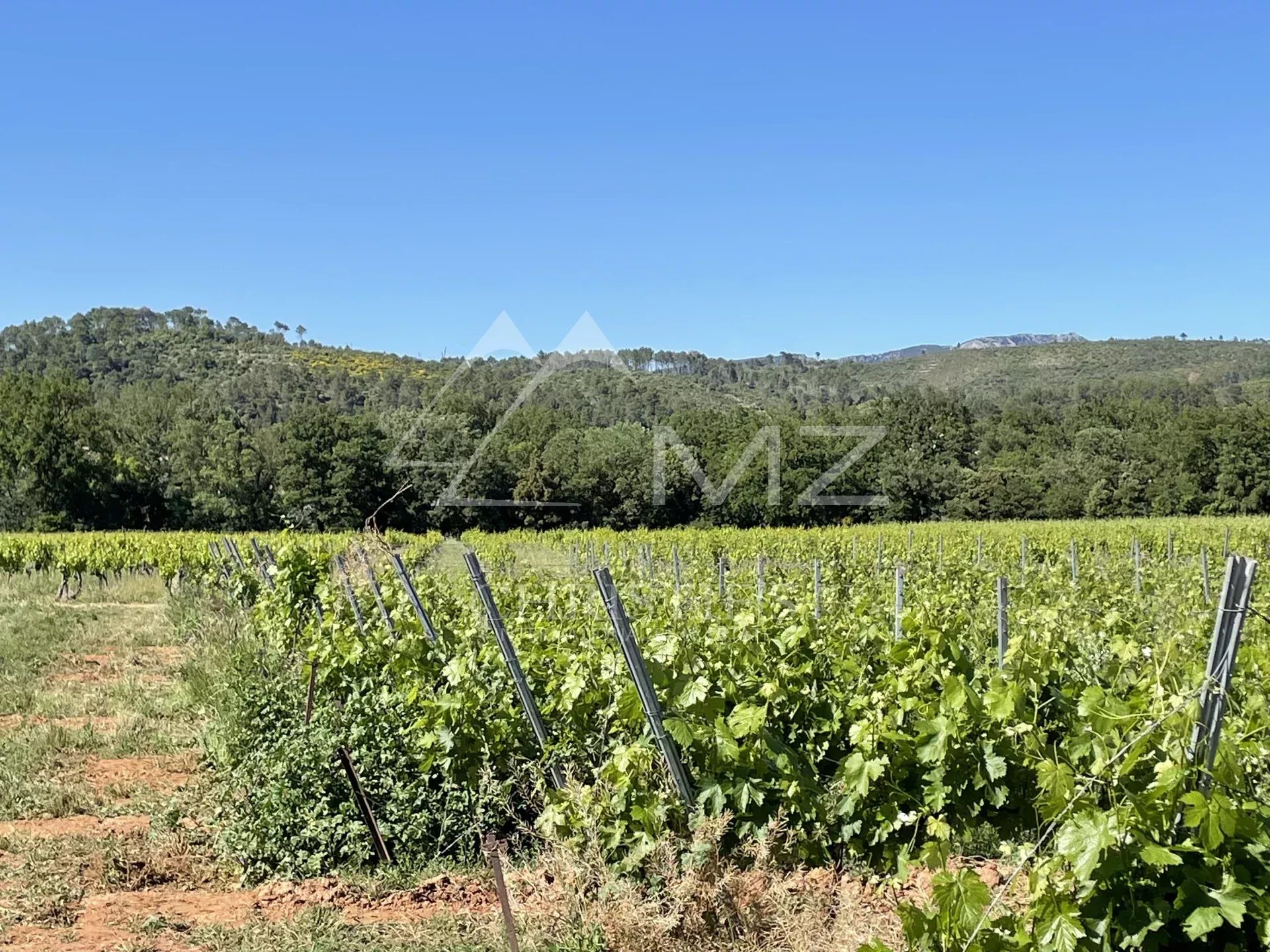 AOP CÔTES DE PROVENCE - EXPLOITATION VITICOLE EN CENTRE VAR