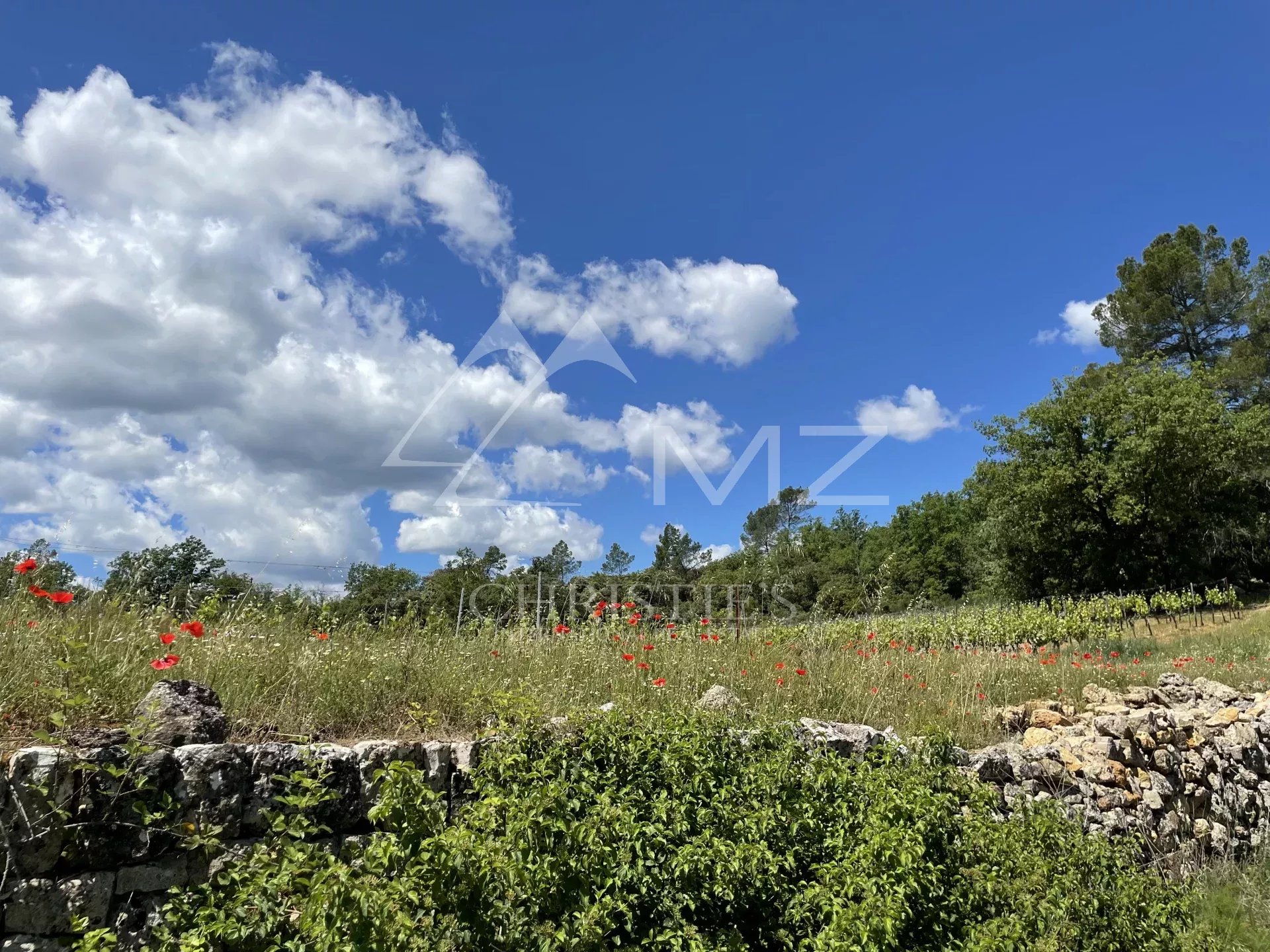 CHARMING LITTLE CONFIDENTIAL ORGANIC VINEYARD ESTATE