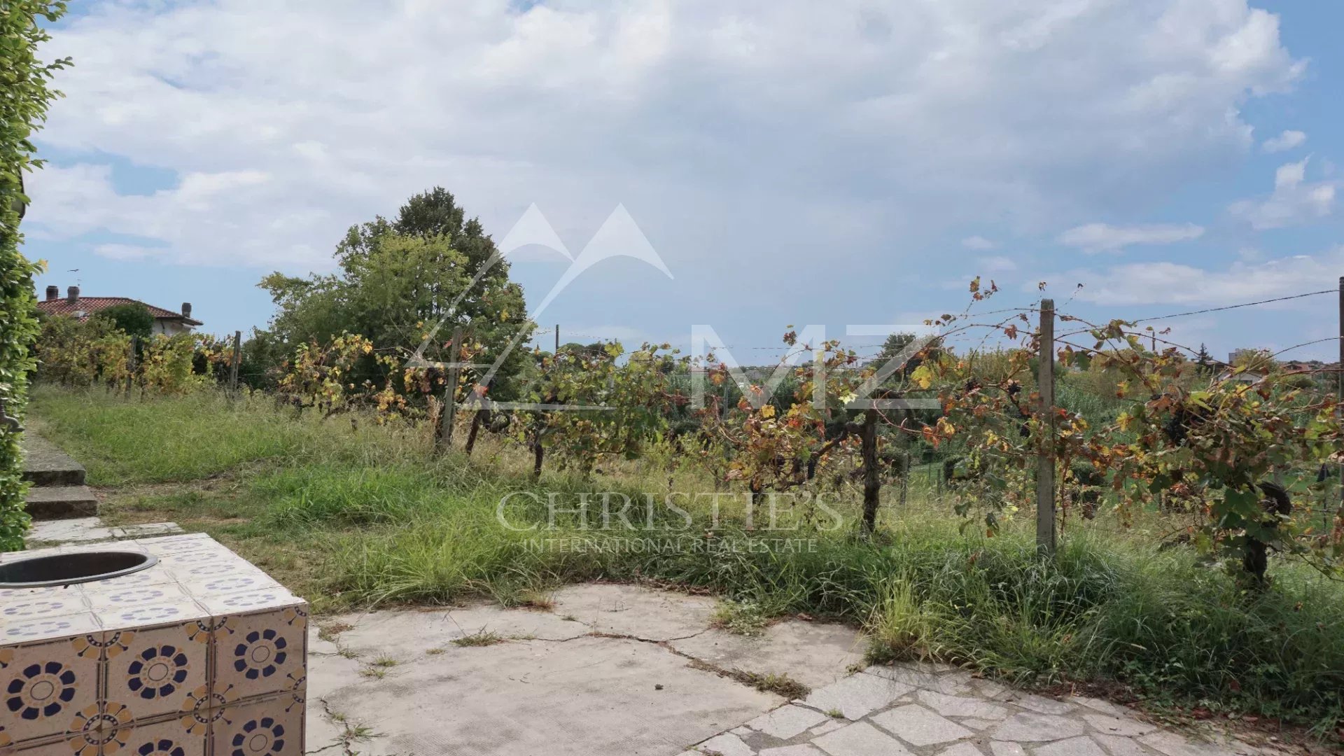 Elégante villa avec piscine, vignoble et grand terrain à une courte distance de la mer