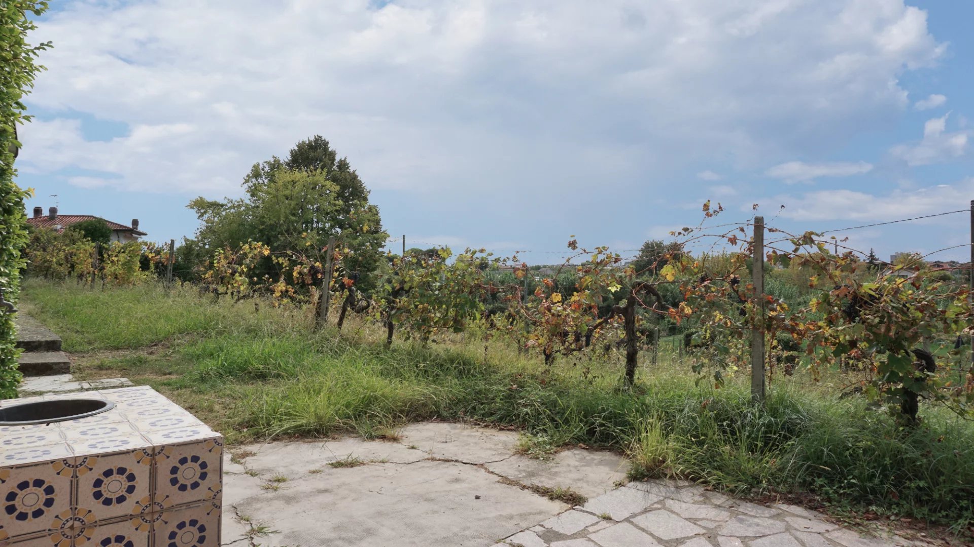 Elégante villa avec piscine, vignoble et grand terrain à une courte distance de la mer