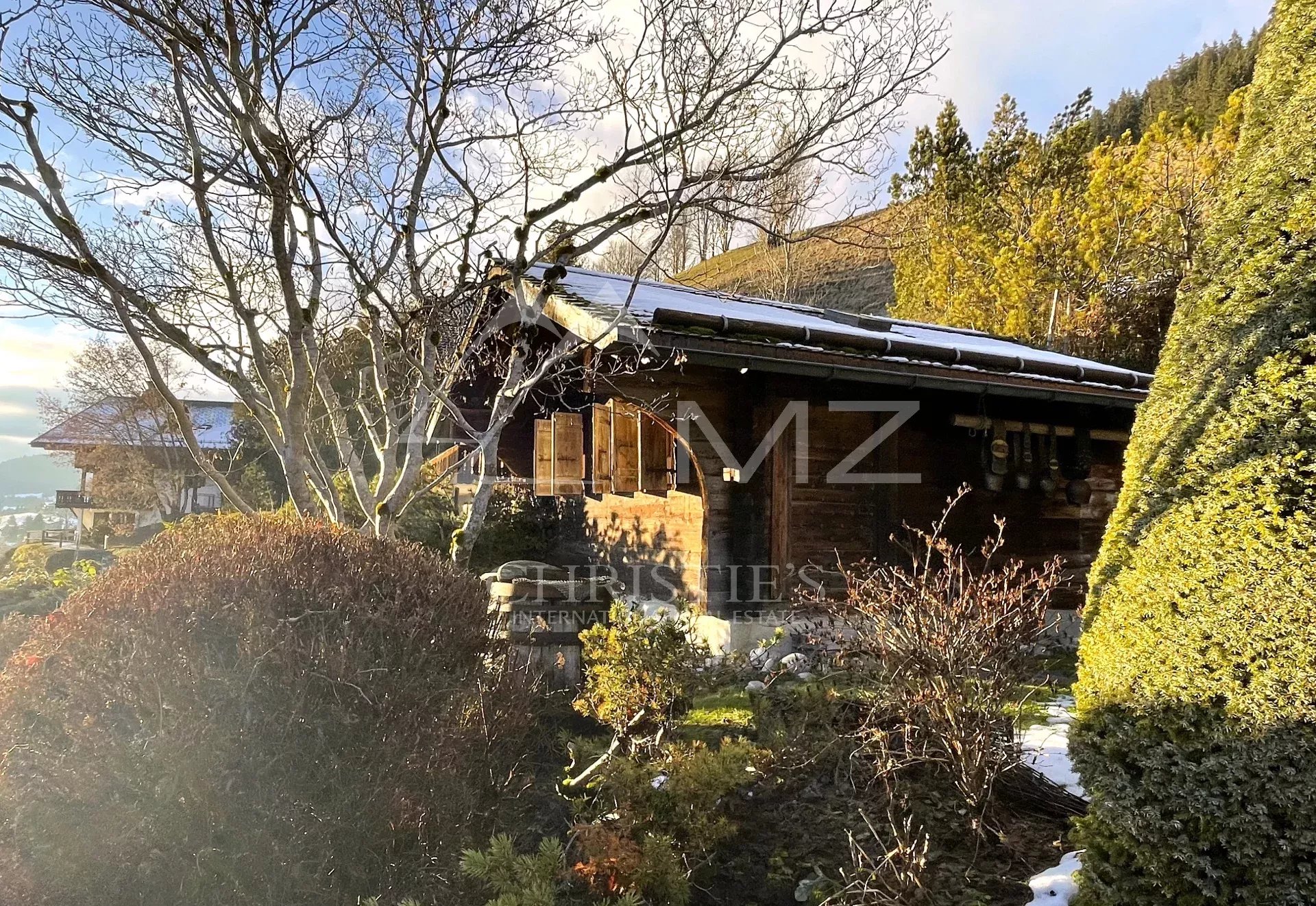 Schönes Chalet oberhalb von Rougemont