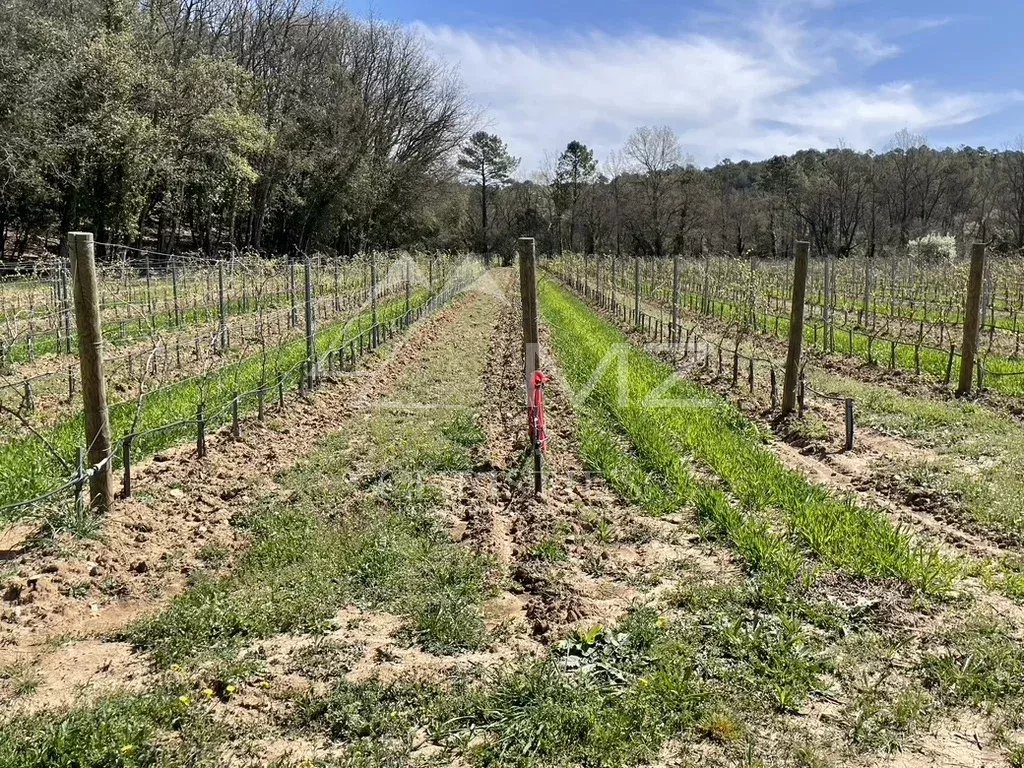 LUXURY WINE TOURISM ESTATE IN THE VAR