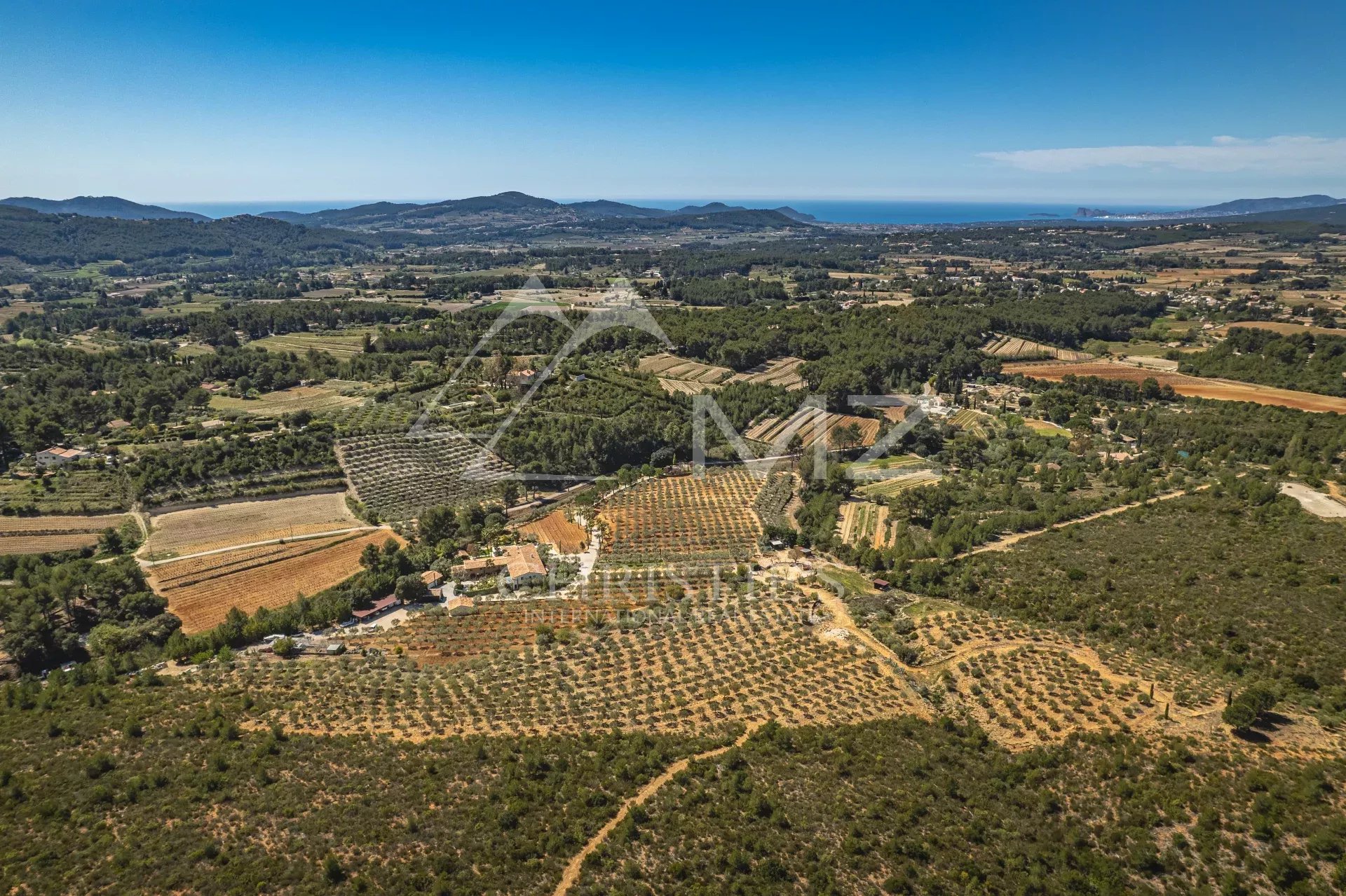 DOMAINE OLÉO-VITICOLE DE STANDING - AOP BANDOL