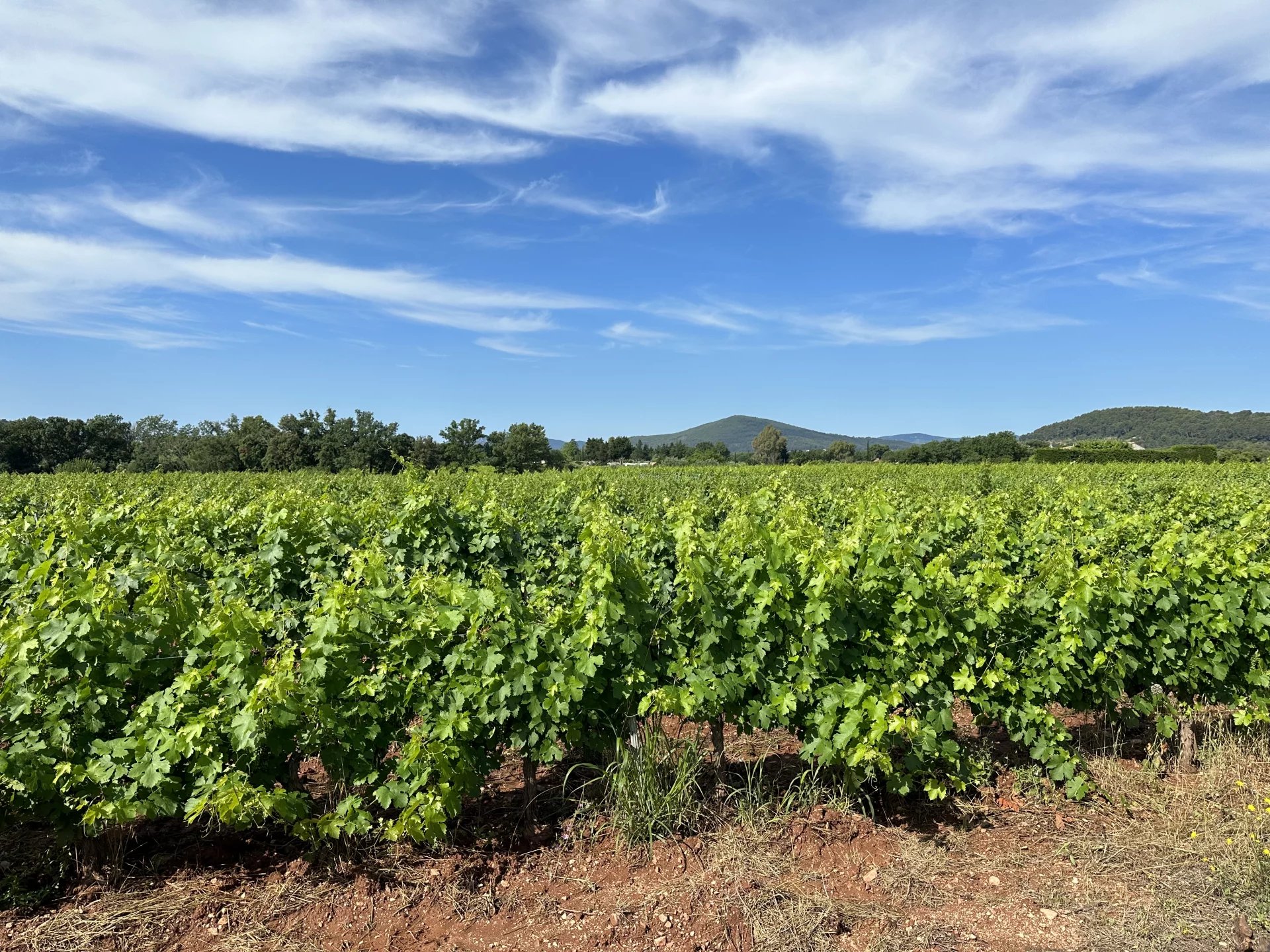 UN OUTIL DE PRODUCTION AU COEUR DU TRIANGLE D'OR DES CÔTES DE PROVENCE