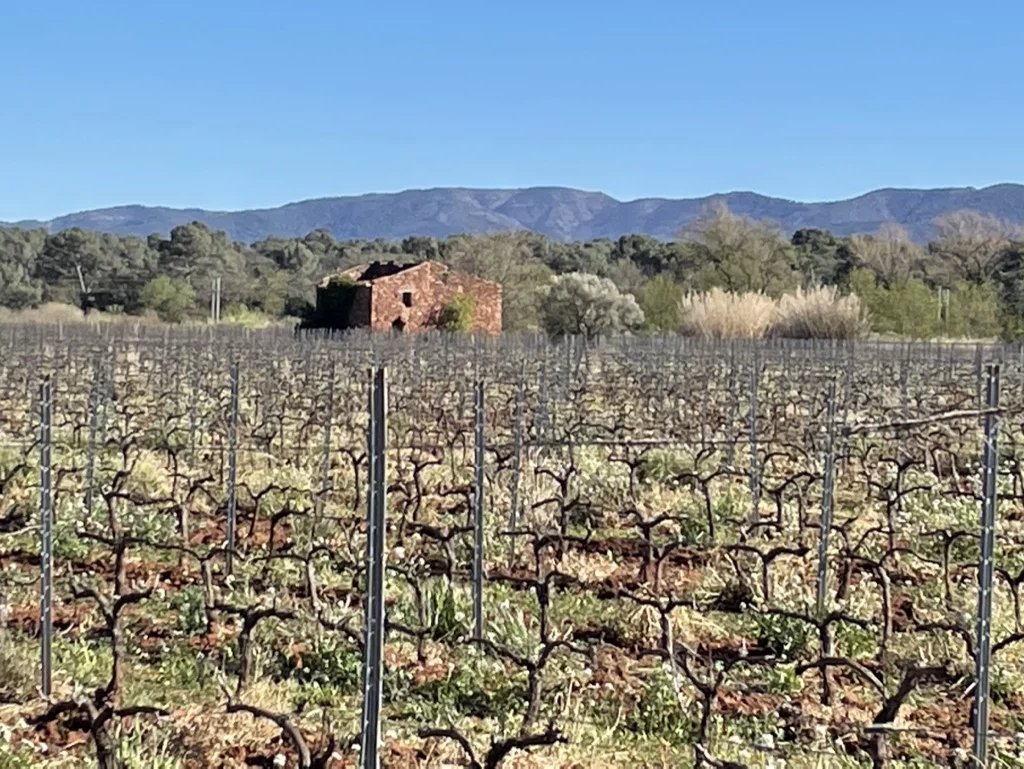 DOMAINE D'ENVERGURE VINI-VITICOLE AOP CÔTES DE PROVENCE