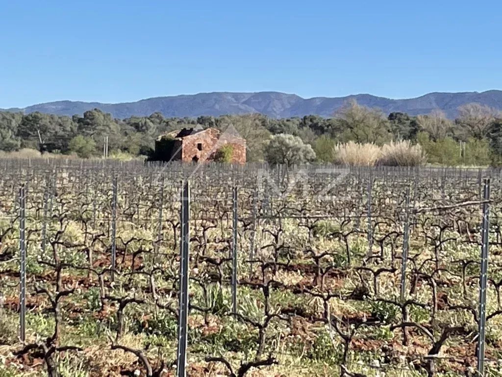 PDO CÔTES DE PROVENCE WINE-GROWING ESTATE