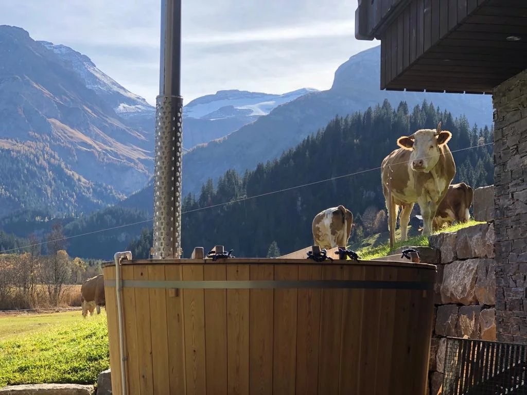 Chalet élégant en location saisonnière à Lauenen