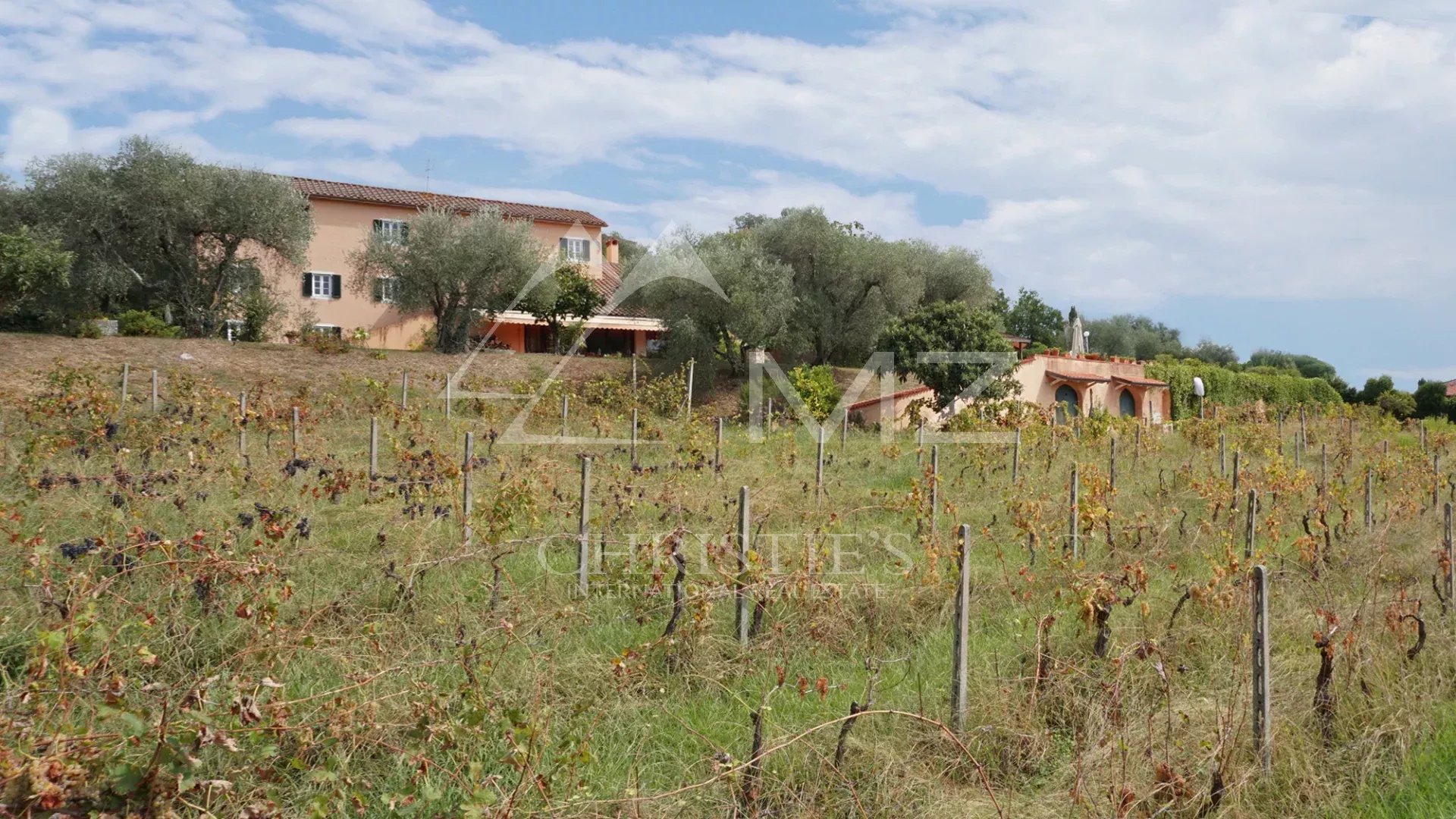 Elégante villa avec piscine, vignoble et grand terrain à une courte distance de la mer