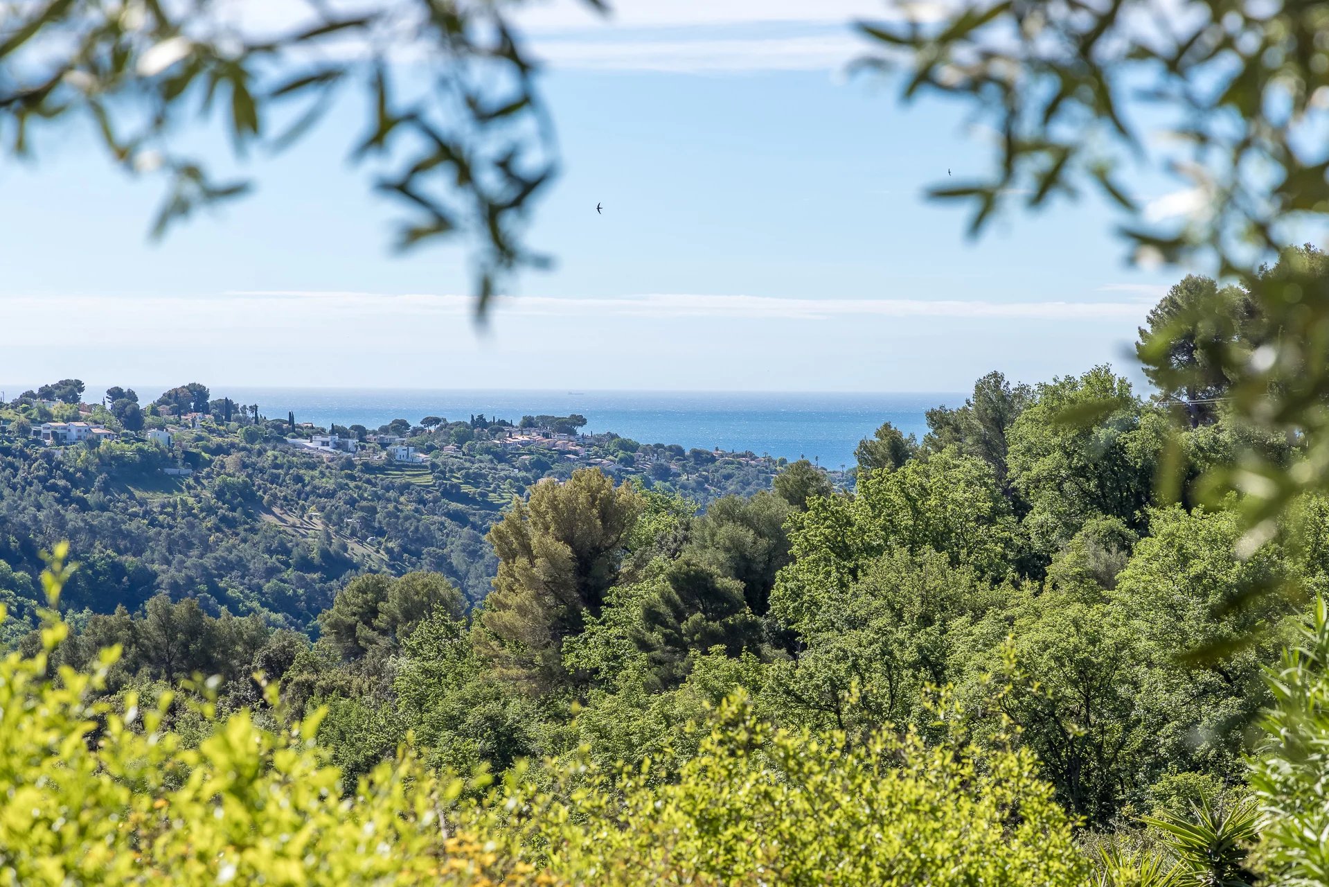 Vence - In total peace and quiet