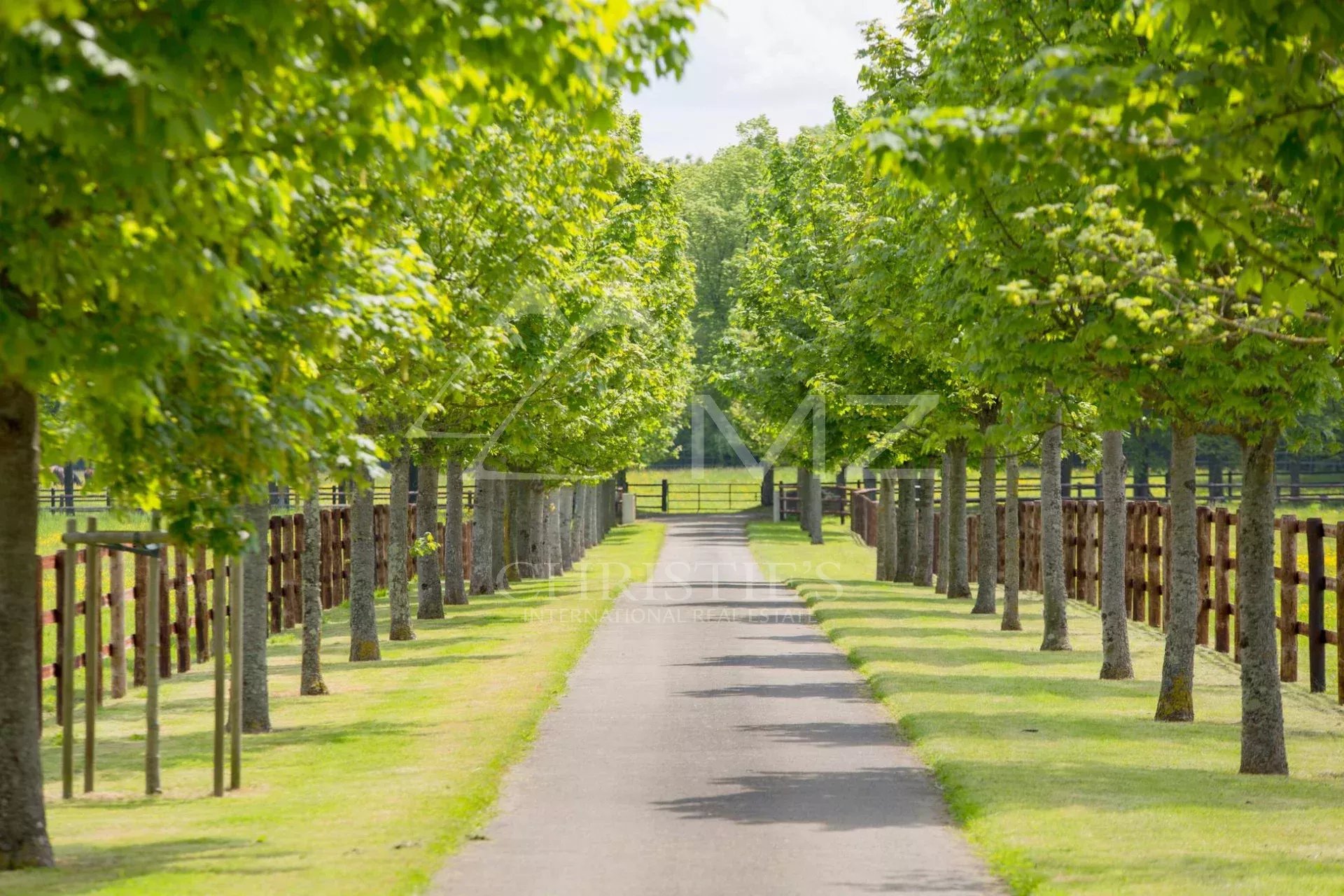 Haras d'élevage et de villégiature - 120 hectares