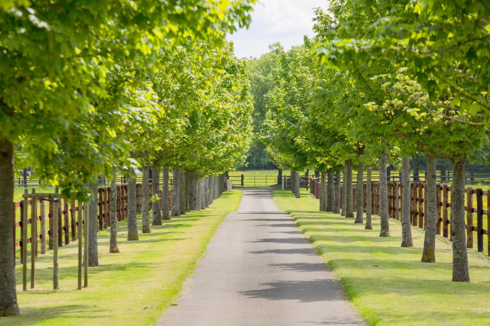 Haras d'élevage et de villégiature - 120 hectares