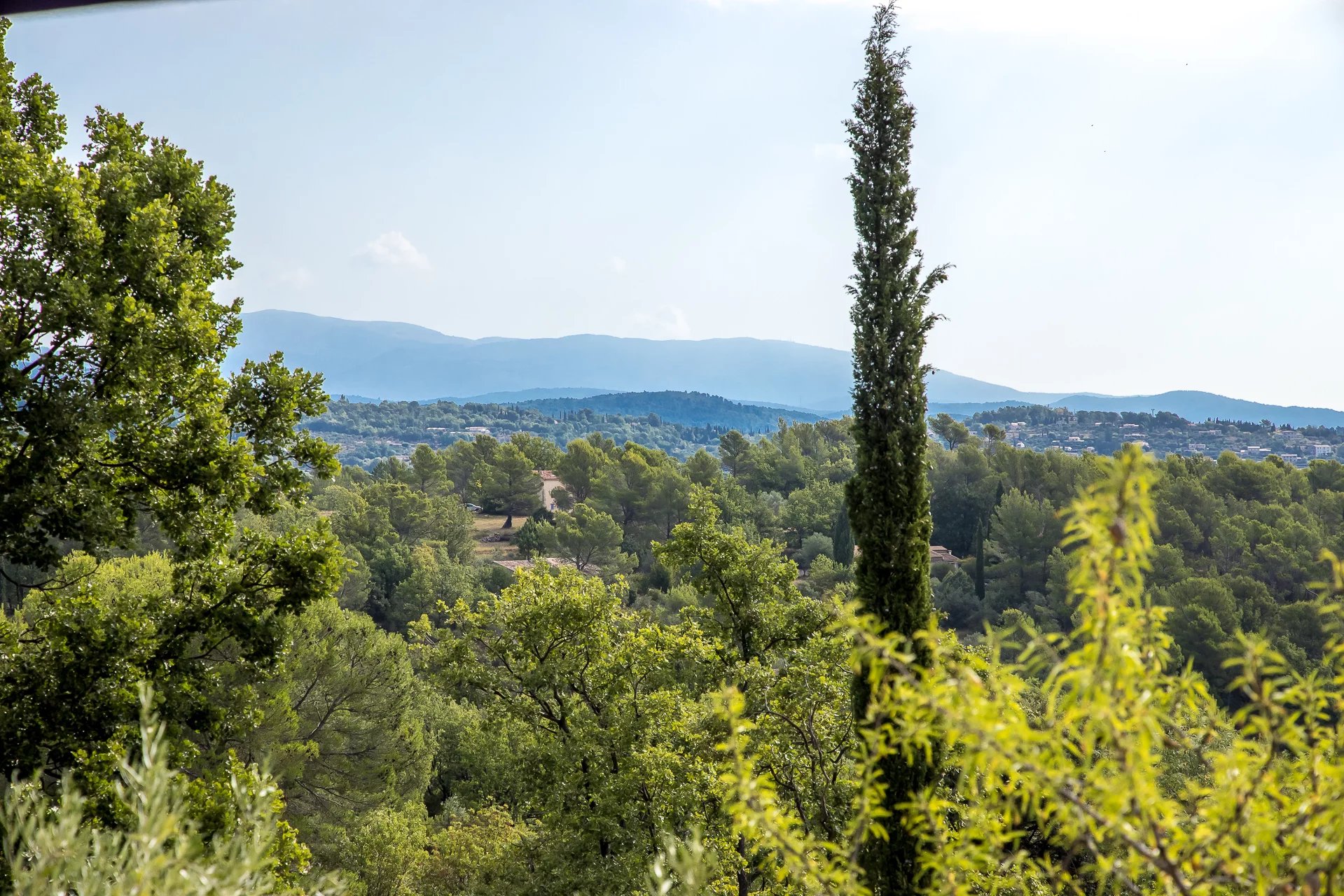 Charmante Propriété provençale dans son oliveraie