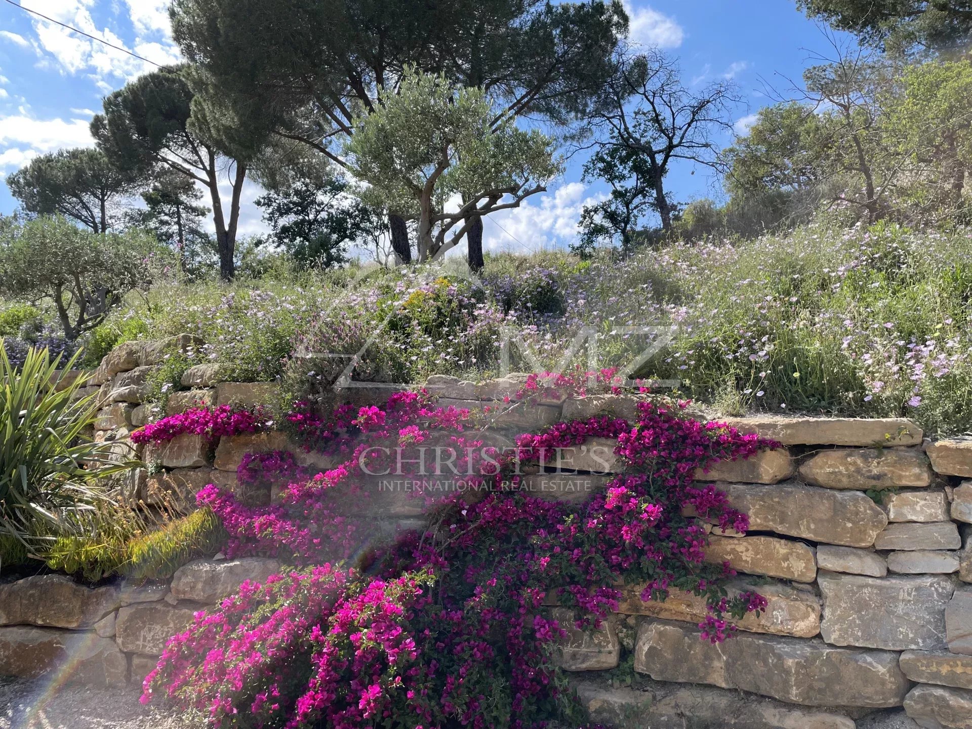 OPPORTUNITÉ À SAISIR ! - PROPRIÉTÉ VITICOLE GOLFE DE SAINT-TROPEZ