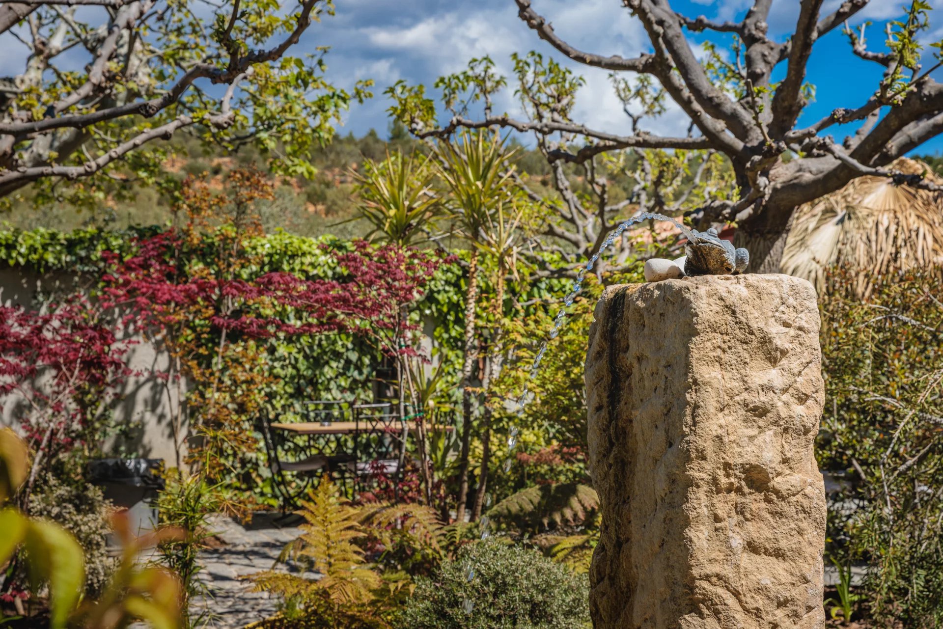 DOMAINE OLÉO-VITICOLE DE STANDING - AOP BANDOL