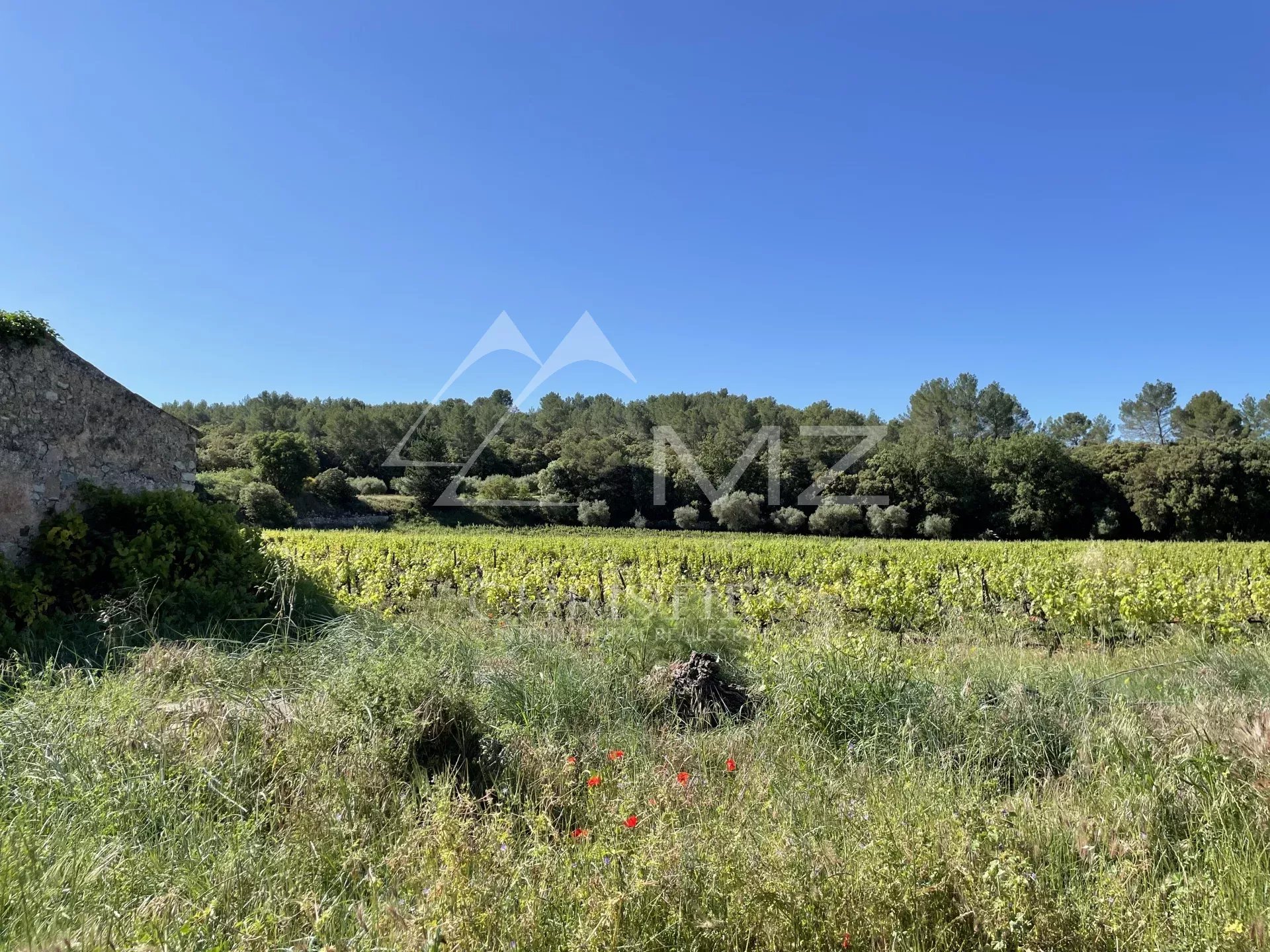 AOP CÔTES DE PROVENCE - EXPLOITATION VITICOLE EN CENTRE VAR