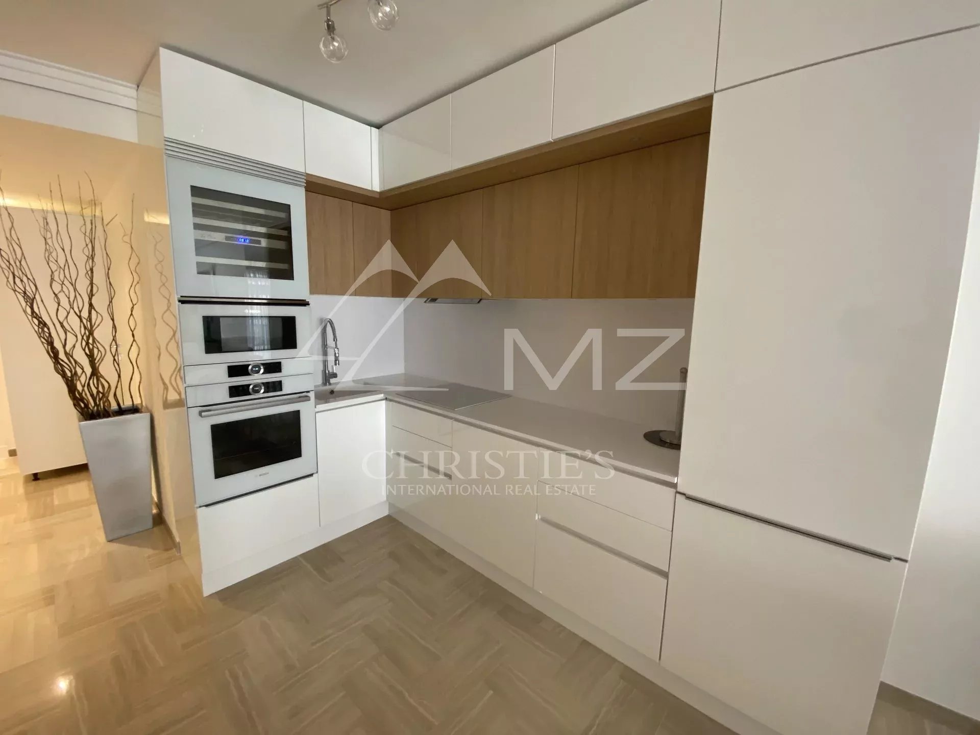 Cannes Gray d'Albion-Two bedrooms apartment